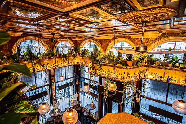 Gin-Bar-Bristol
